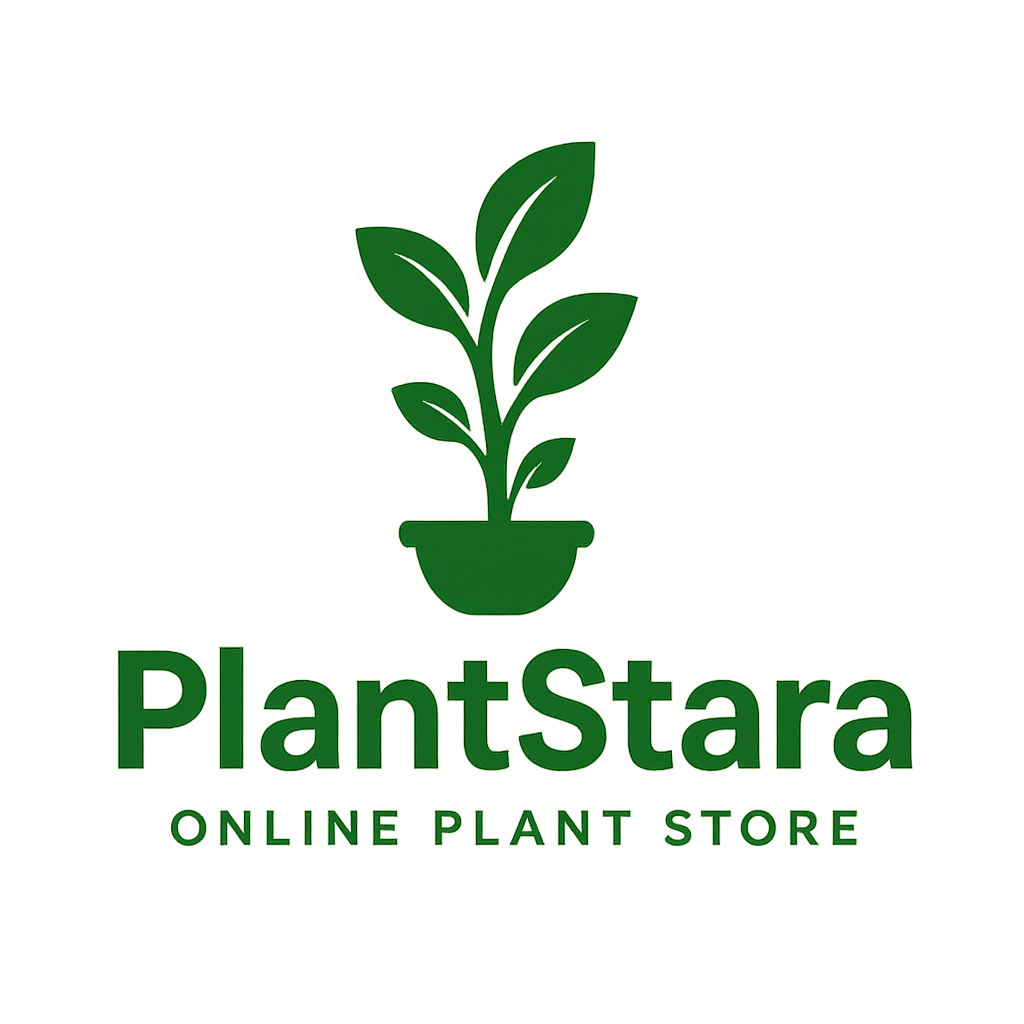 plantstara